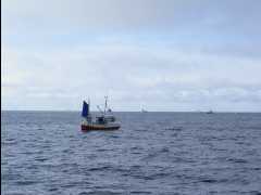 Cod Fishing10